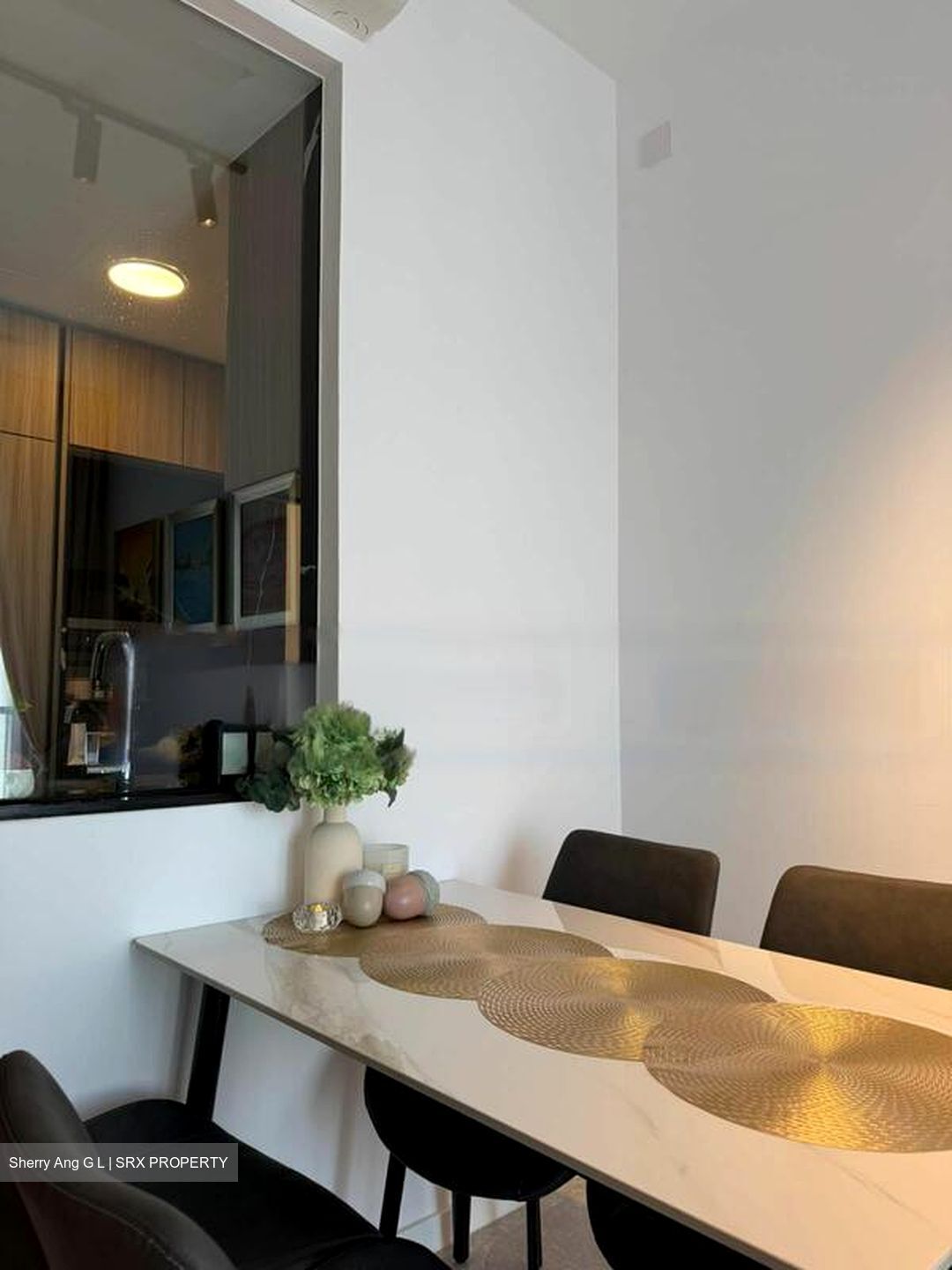 Irwell Hill Residences (D9), Apartment #597095991